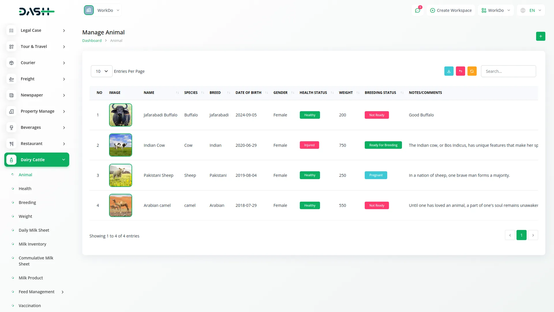 dairy and cattle management
