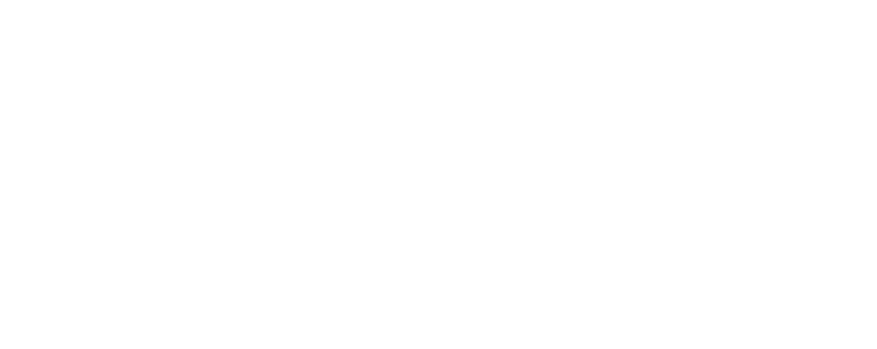 erpgo layer