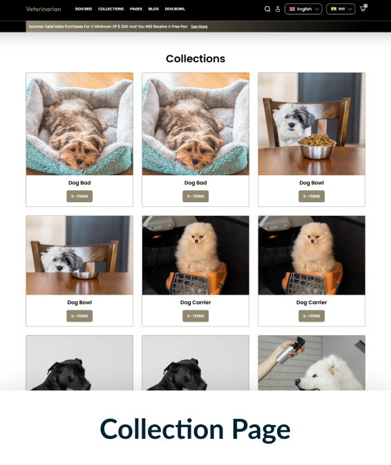 Veterinarian Shopify Theme