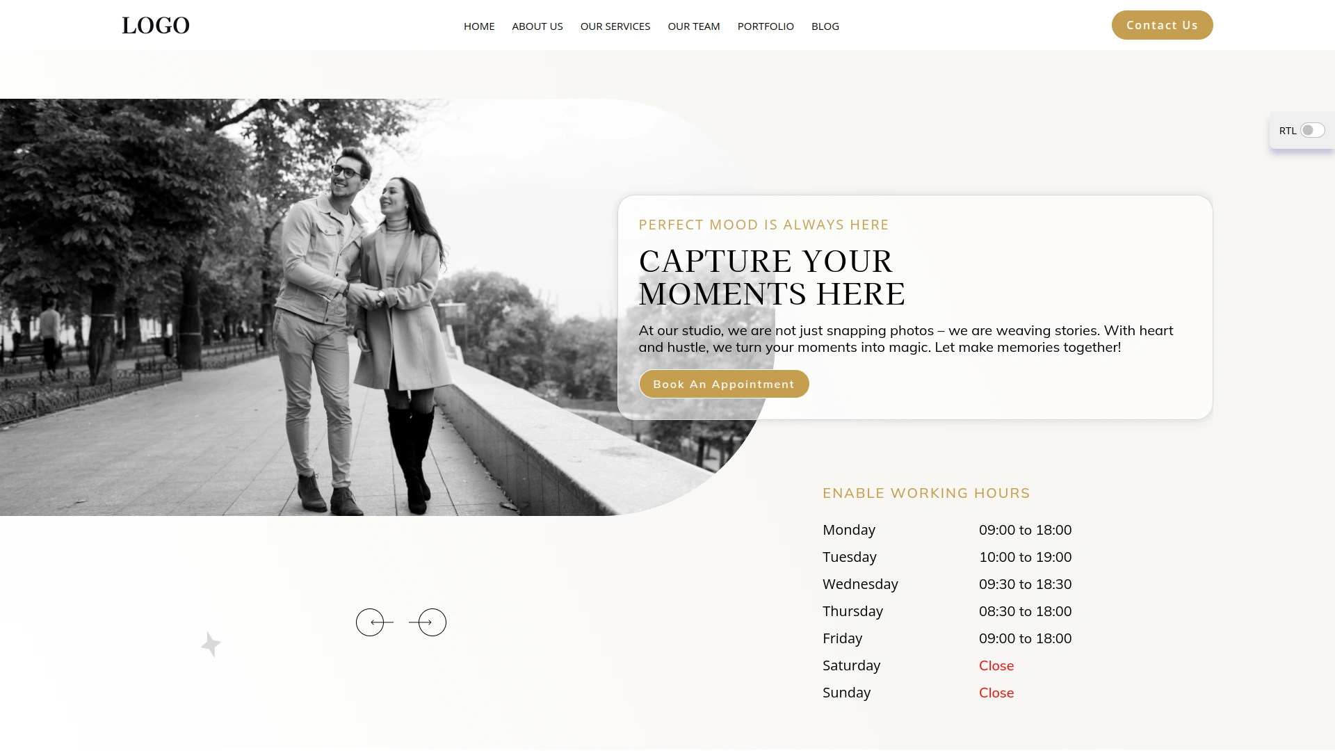 Theme Customizer – BookingGo SaaS Add-On
