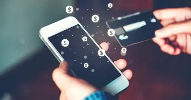 Payment Gateway Integration