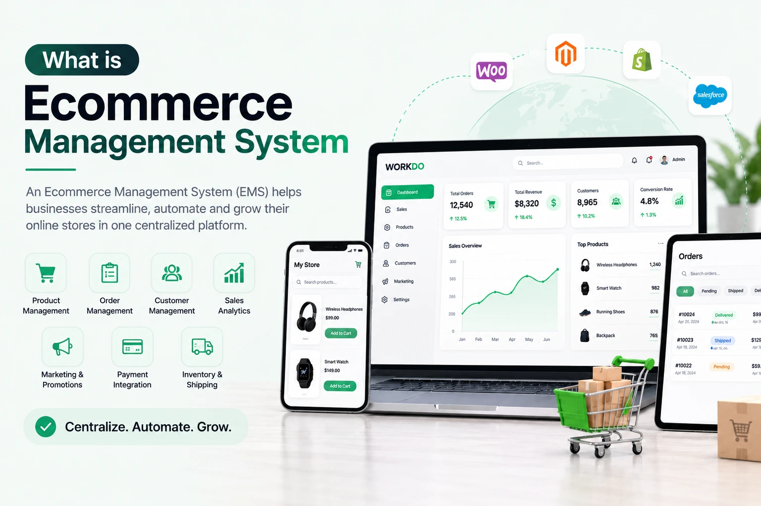 manage-your-ecommerce-management-system