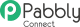 Pabbly Connect – Dash SaaS Add-on