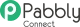 Pabbly Connect – Dash SaaS Add-On
