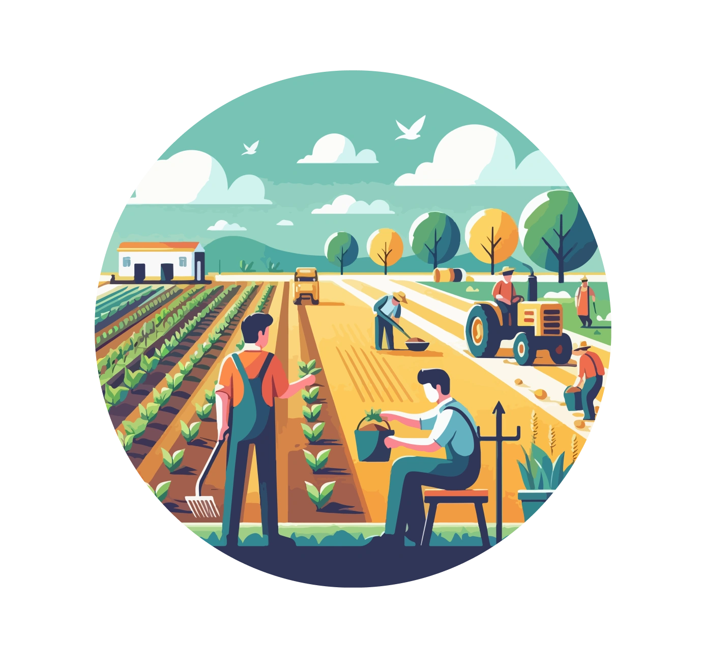 Agriculture Management