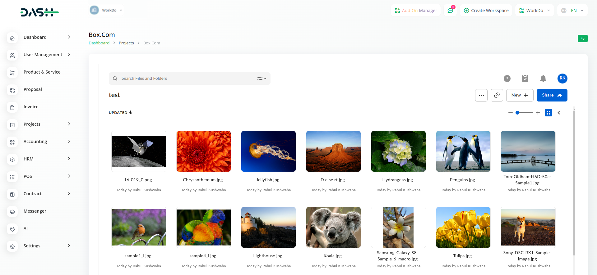 Onedrive Dash Saas