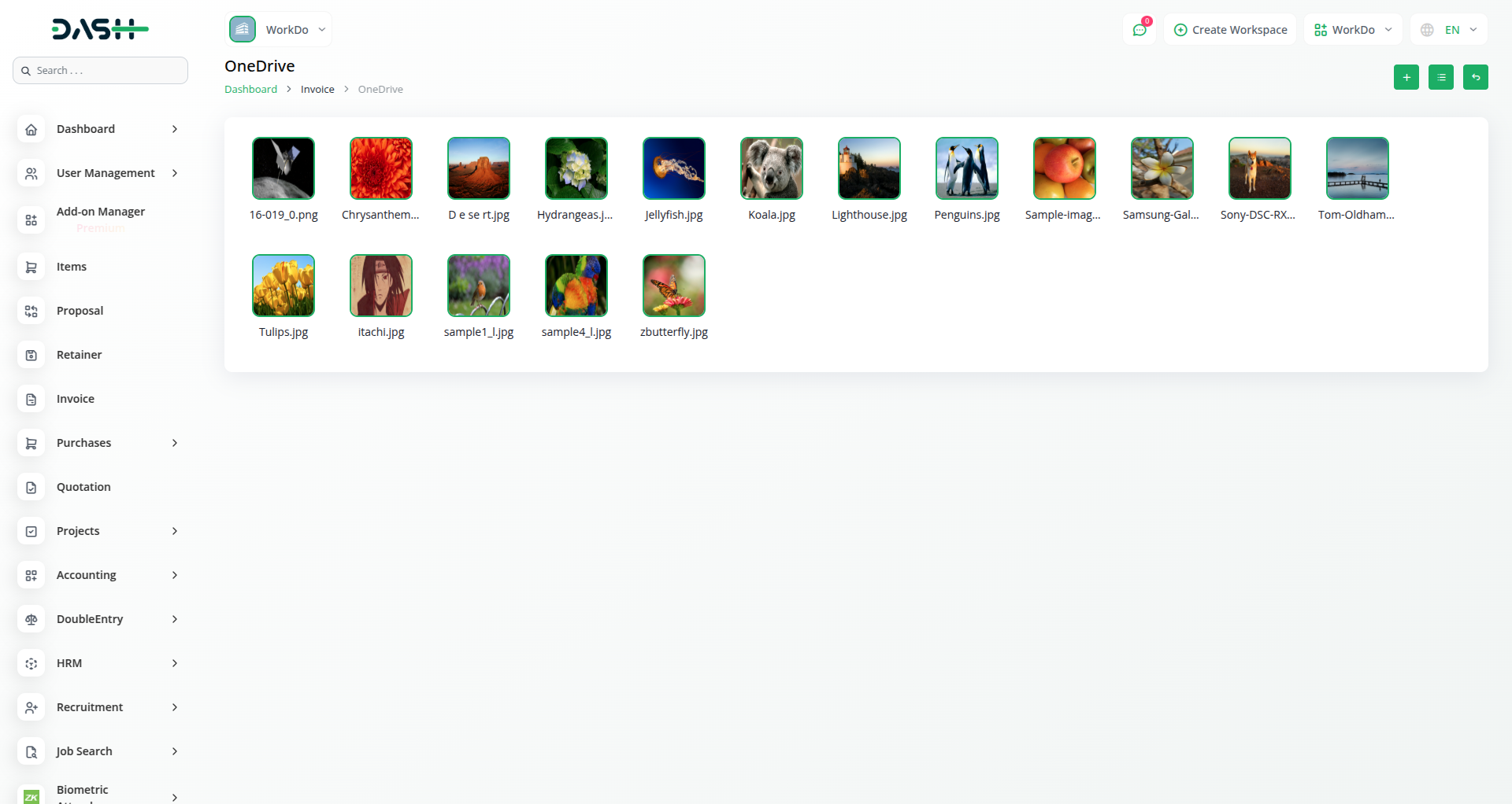 Onedrive Dash Saas
