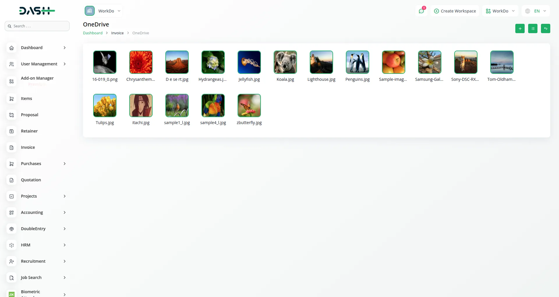 Onedrive Dash Saas