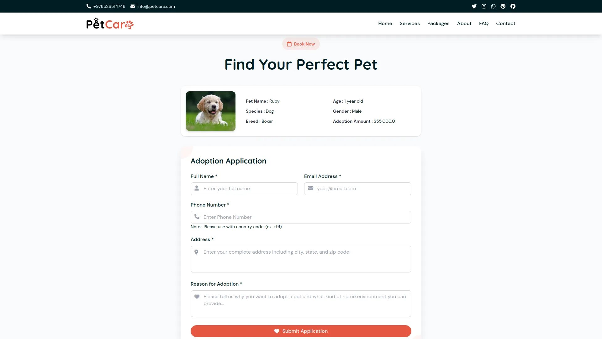 PetCare Petcare