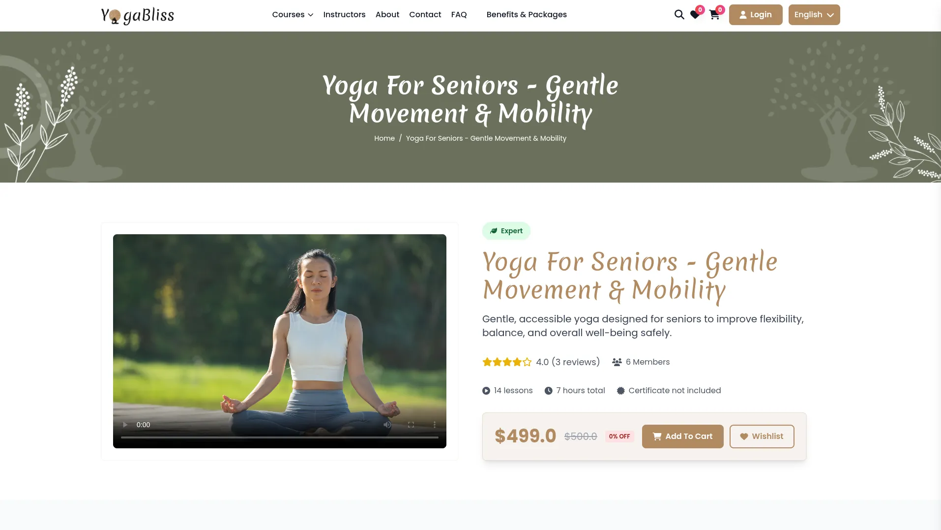 Yoga Classes