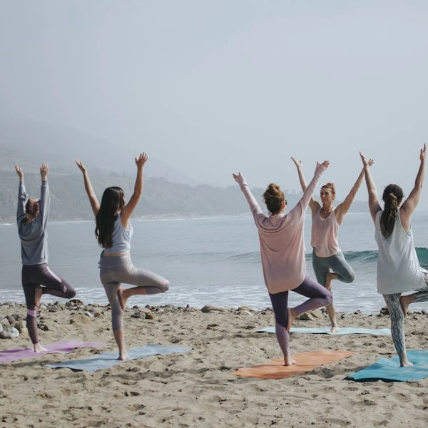 Yoga & Meditation Studios