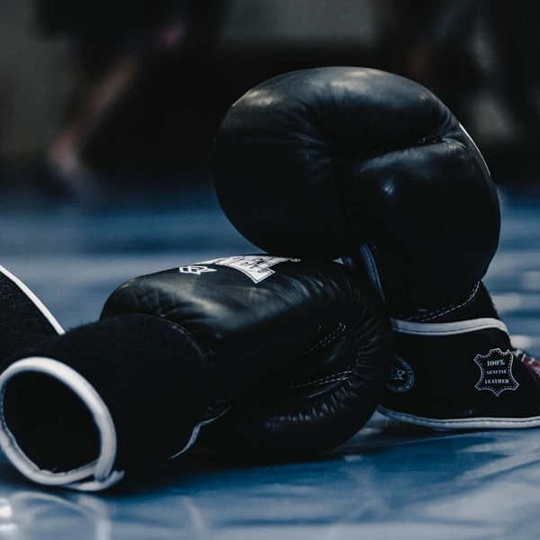 Martial Arts & MMA Dojos