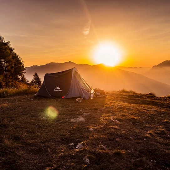 Safari Camps & Glamping