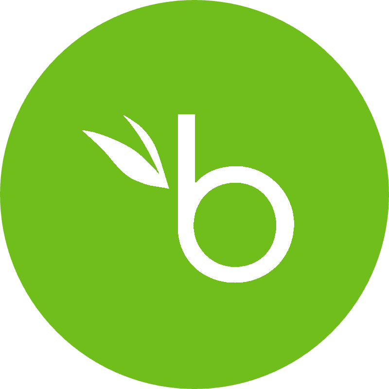 BambooHR