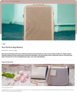 Bagbliss Shopify Theme