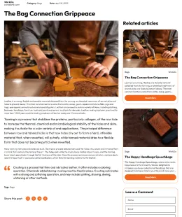 Bags Shopify Theme