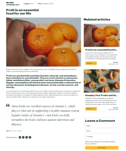 Grocery Shopify Theme