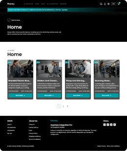 Homey Shopify Theme
