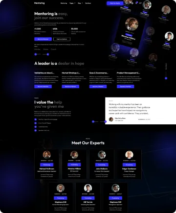 Mentoring Shopify Theme