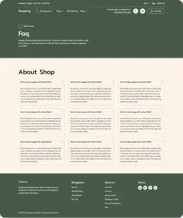 Shopping Shopify Theme