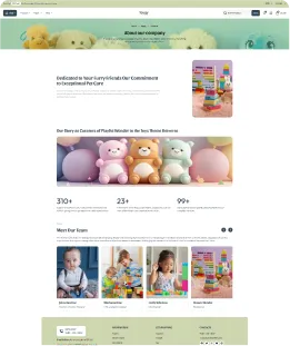 Toygy Shopify Theme